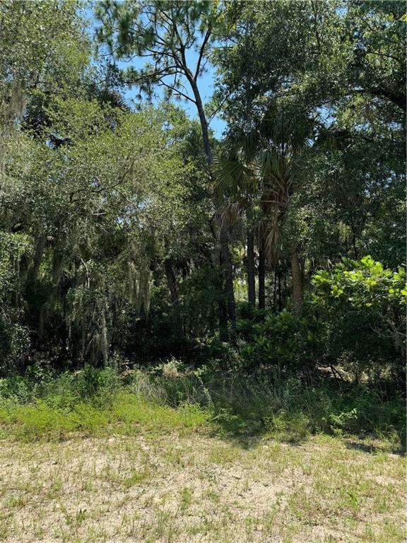 561 NE 13th TERRACE, CRYSTAL RIVER, FL — photo 3 of 8