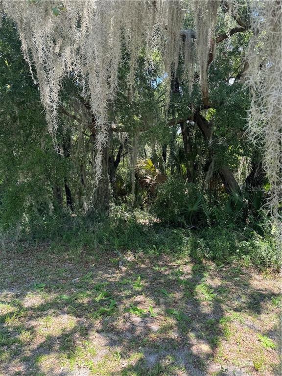 561 NE 13th TERRACE, CRYSTAL RIVER, FL — photo 4 of 8