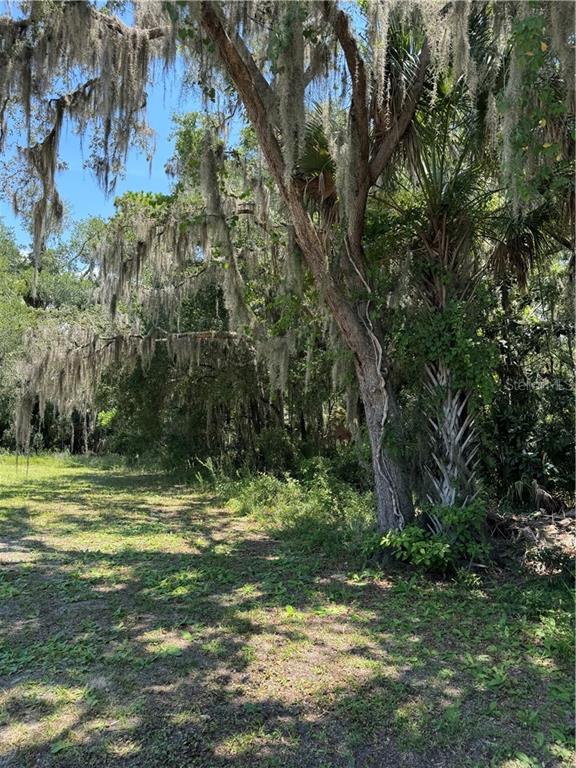 561 NE 13th TERRACE, CRYSTAL RIVER, FL — photo 5 of 8