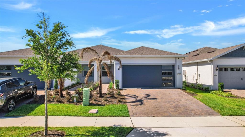 A single-story suburban house with a gray garage, brick driveway, and a small palm tree — 15806 GEM VIEW ST, WINTER GARDEN, FL