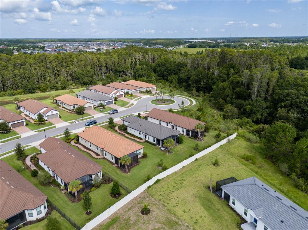 An aerial view shows a suburban neighborhood with several houses, paved streets, and surrounding wooded areas — 4344 CAIROLI COURT, WESLEY CHAPEL, FL