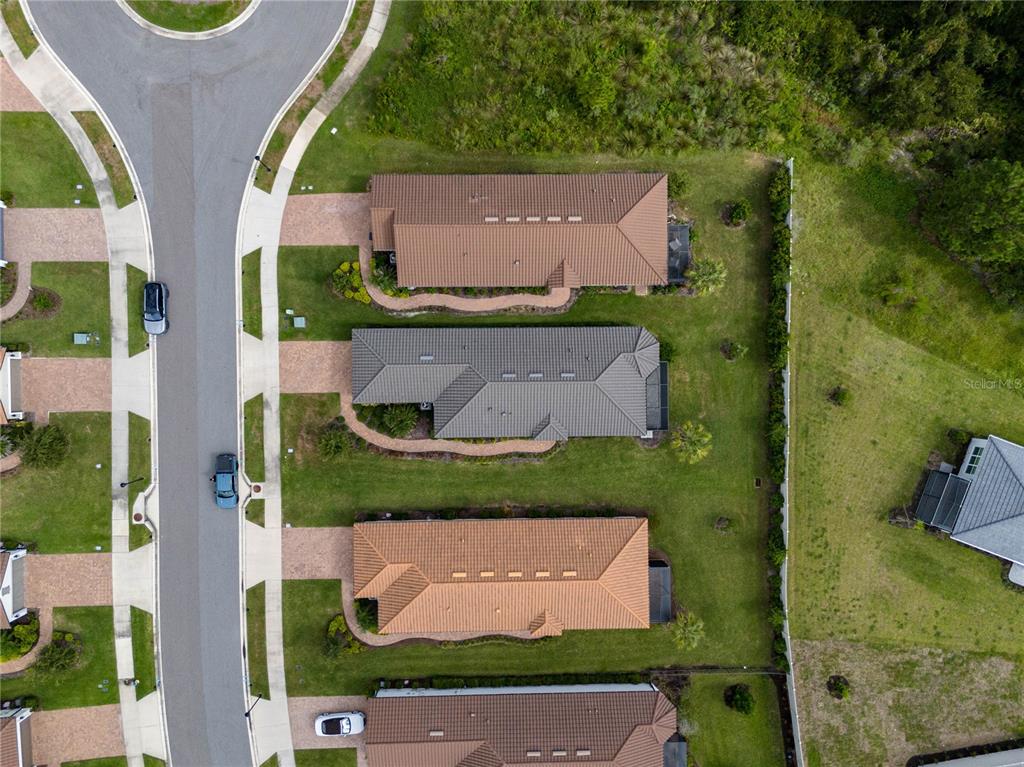 An aerial view shows several houses with tiled roofs and driveways along a suburban street — 4344 CAIROLI COURT, WESLEY CHAPEL, FL