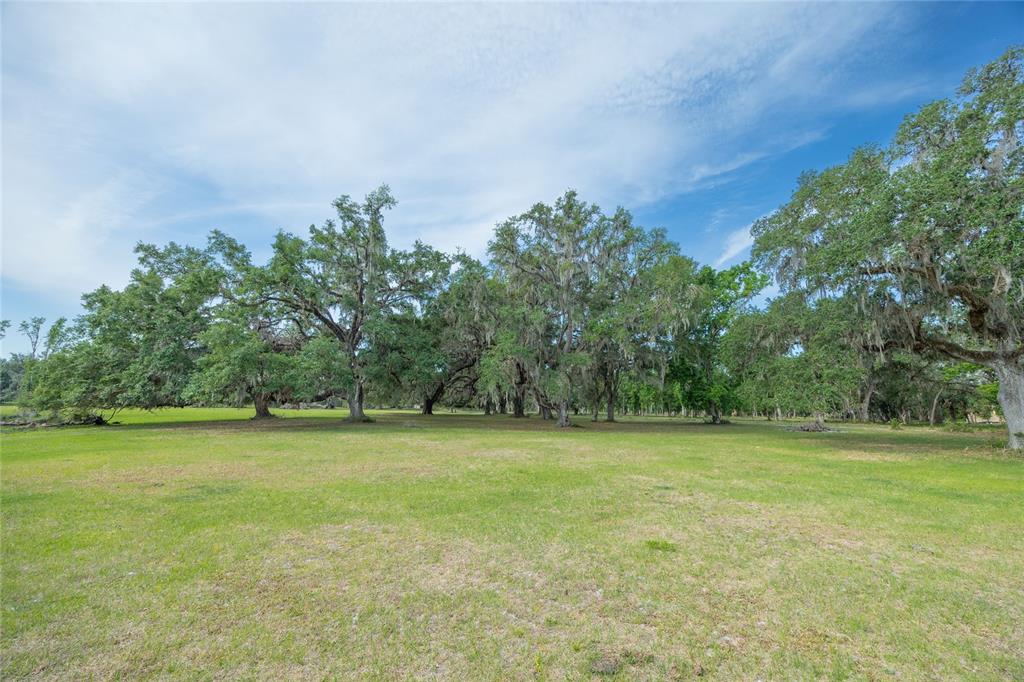 A wide, grassy field is bordered by a line of large, moss-draped oak trees — TBD CR 772B, WEBSTER, FL