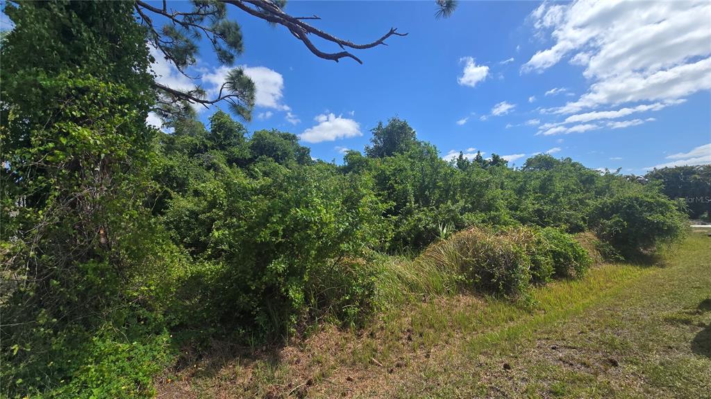 A dense, overgrown lot with trees and shrubs under a bright, partly cloudy sky — GALE STREET, ENGLEWOOD, FL