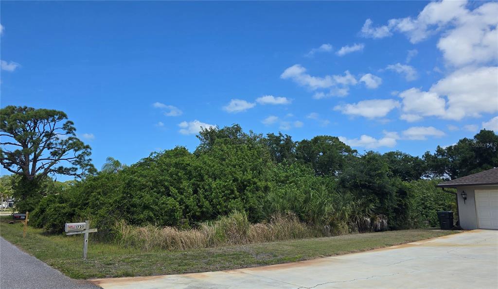 A vacant, heavily wooded residential lot sits between a paved driveway and a street — GALE STREET, ENGLEWOOD, FL