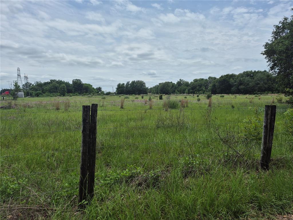 A barbed wire fence encloses a large, grassy field under a cloudy sky — CR 229, WILDWOOD, FL
