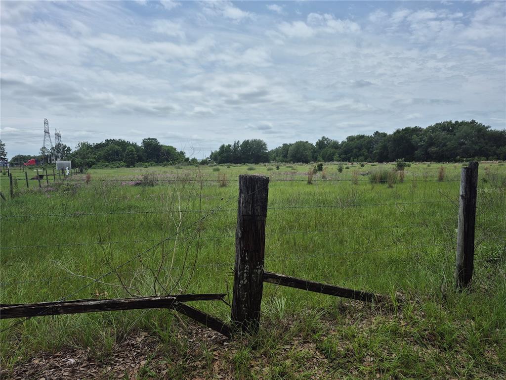 A barbed wire fence encloses a grassy field with trees in the background — CR 229, WILDWOOD, FL