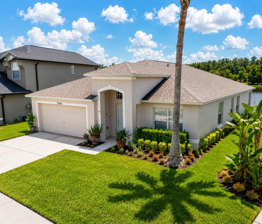 A single-story house with a beige stucco exterior, a two-car garage, and a palm tree — 25546 BRUFORD BOULEVARD, LAND O LAKES, FL