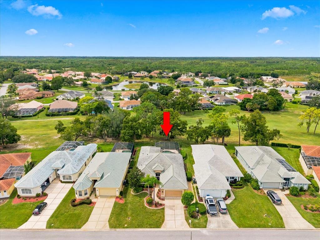 9233 PENELOPE DRIVE, WEEKI WACHEE, FL — photo 3 of 75