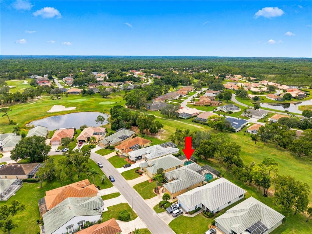 9233 PENELOPE DRIVE, WEEKI WACHEE, FL — photo 5 of 75