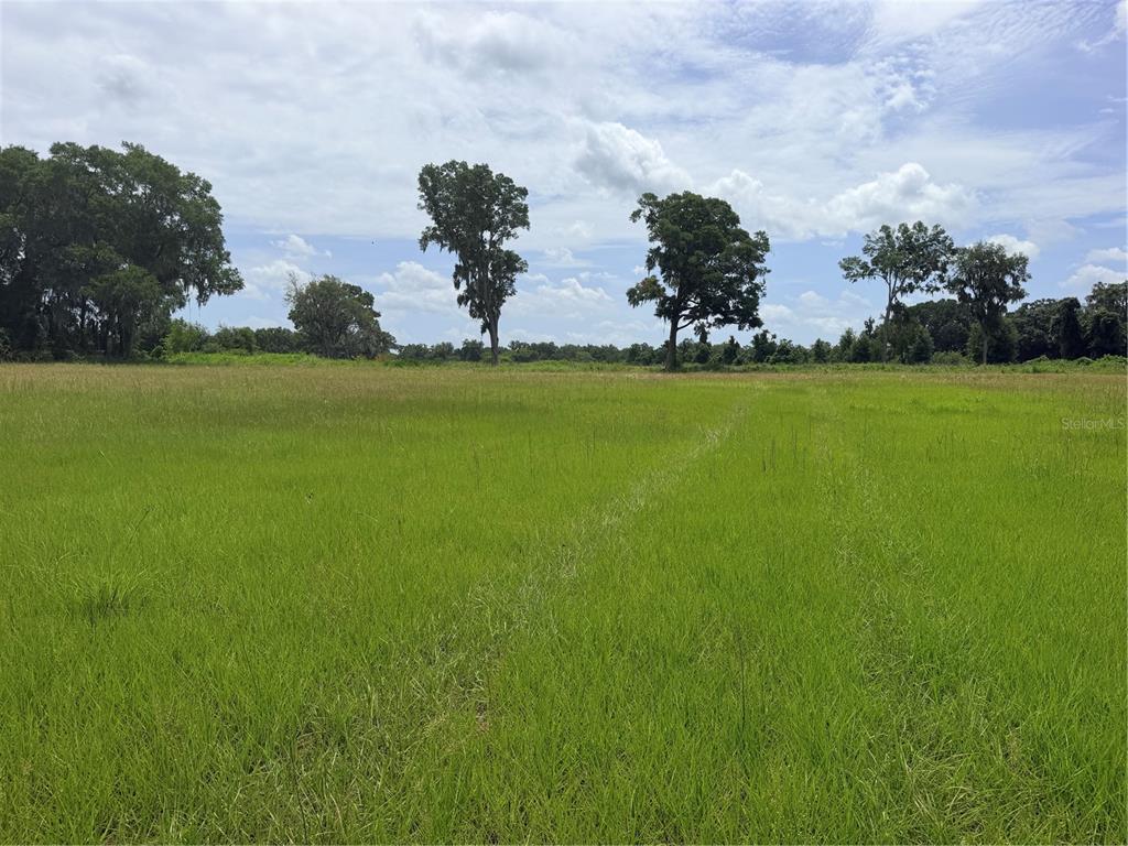 A wide, grassy field stretches toward a line of trees under a cloudy blue sky — N HWY 441, CITRA, FL