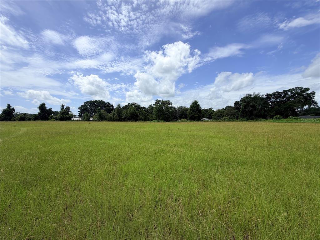 A wide, grassy field sits under a bright blue sky with scattered white clouds — N HWY 441, CITRA, FL