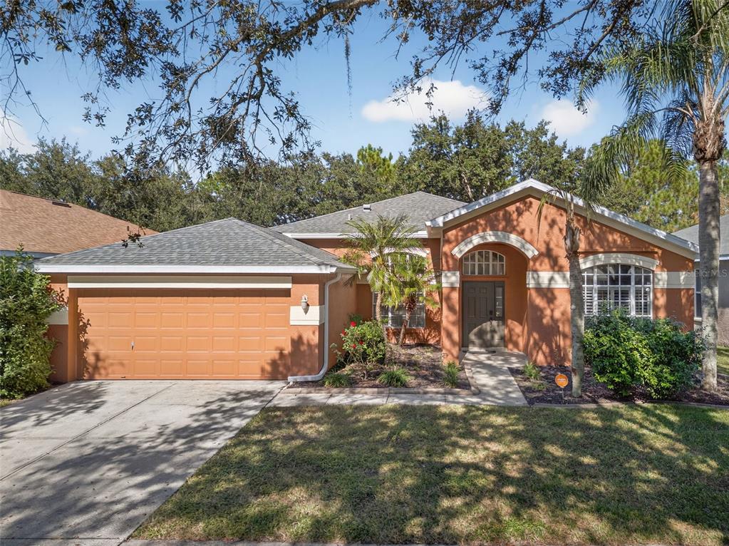 19156 DOVE CREEK DRIVE