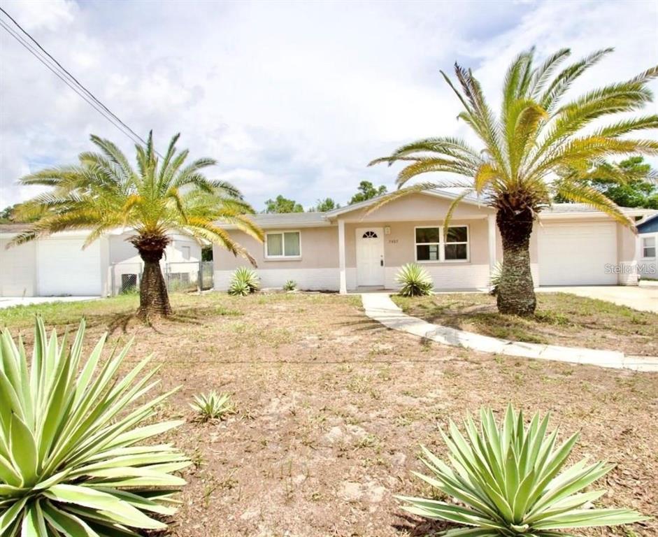 A single-story house with a light-colored exterior, two palm trees, and a front walkway — 7407 UNIVERSITY DRIVE, HUDSON, FL