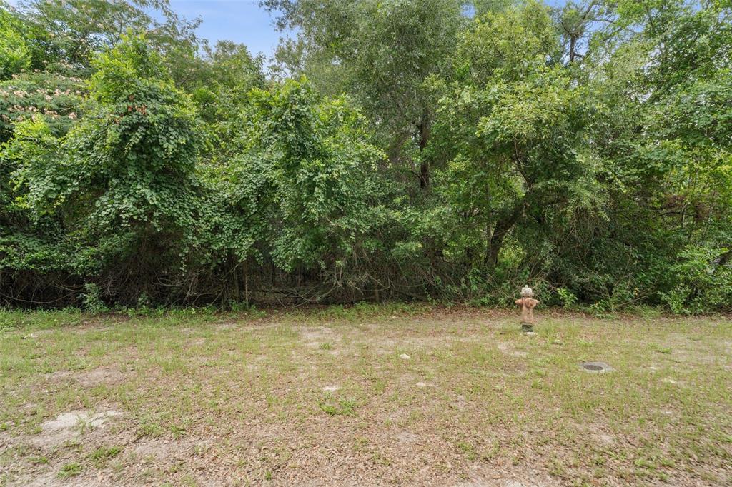 NW 183RD ROAD, HIGH SPRINGS, FL — photo 2 of 12