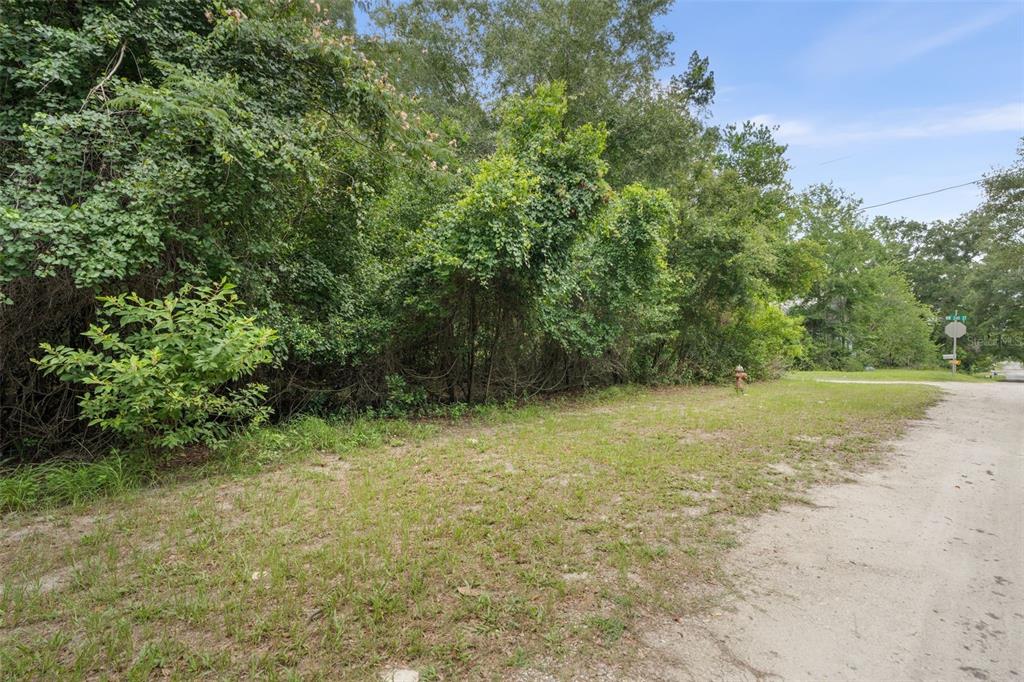 NW 183RD ROAD, HIGH SPRINGS, FL — photo 3 of 12
