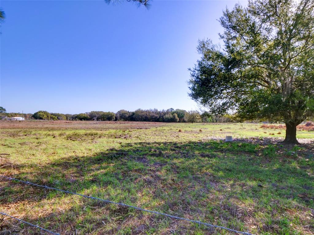 A large, open grassy field with a single mature tree and a barbed wire fence — 000000- CR 614A, BUSHNELL, FL