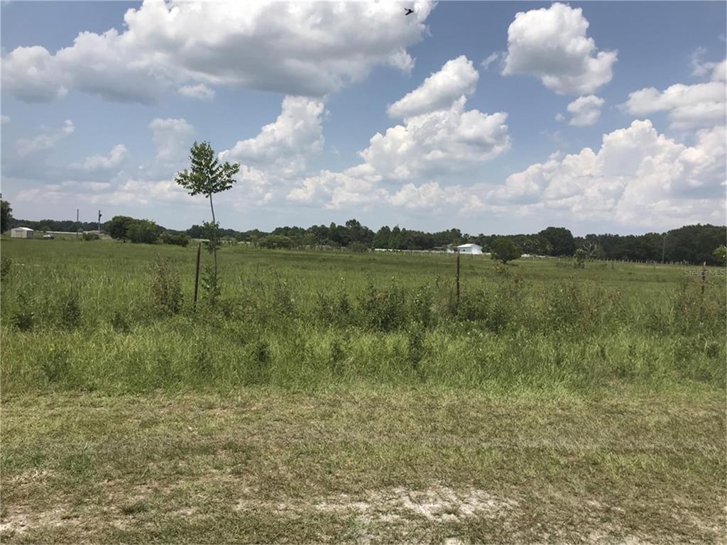 A wide, grassy field under a blue sky with clouds, featuring a wire fence — 000000- CR 614A, BUSHNELL, FL