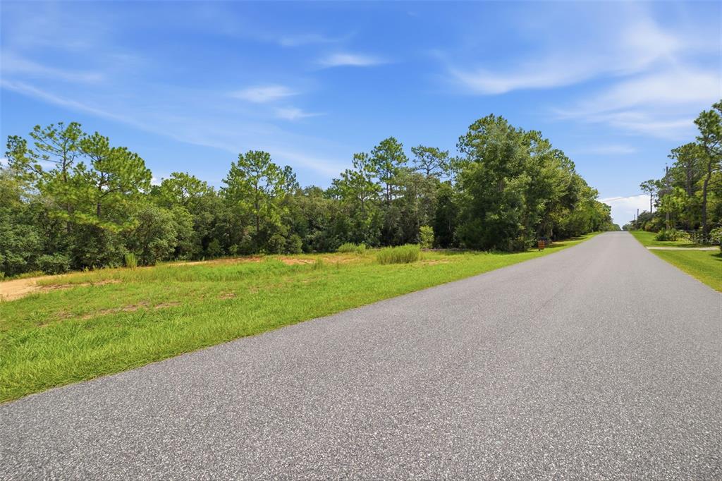 A paved road runs alongside a grassy, undeveloped lot bordered by a line of trees — 1345 E RAY STREET, HERNANDO, FL