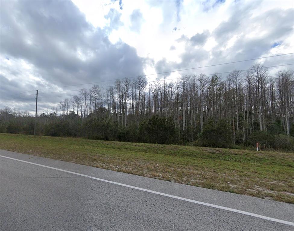 A paved road runs alongside a grassy verge fronting a dense forest of tall trees — 0 E IRLO BRONSON MEMORIAL HIGHWAY, ST CLOUD, FL