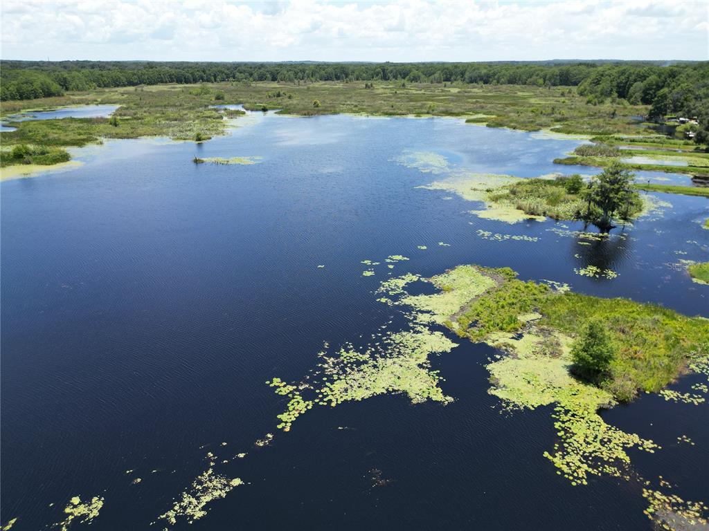 An aerial view of a large, calm lake with patches of lily pads and surrounding vegetation — 8781 S LAKESHORE DRIVE, FLORAL CITY, FL