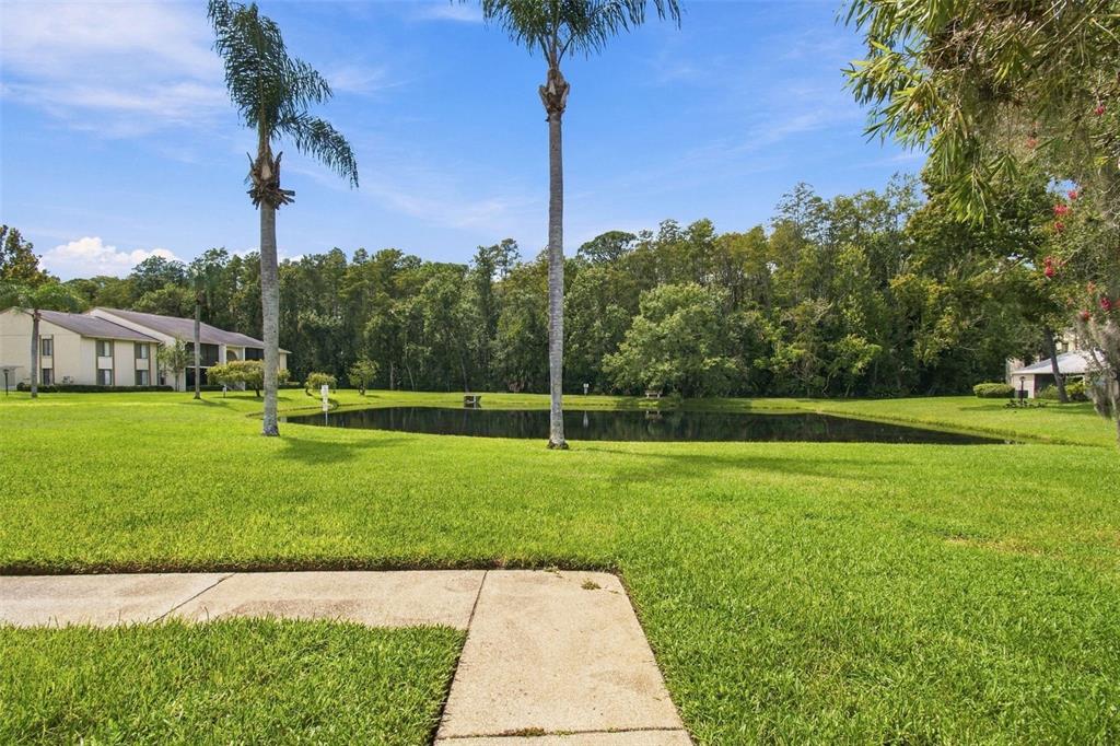 1488 PINE GLEN LANE UNIT A1, TARPON SPRINGS, FL — photo 5 of 30