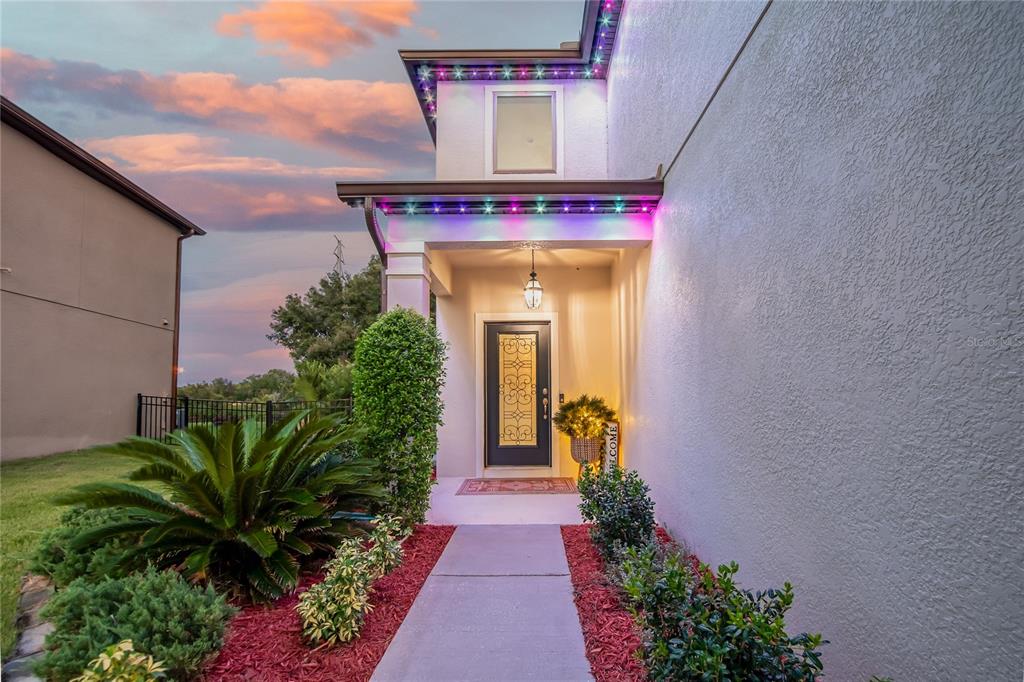 A front entryway with a decorative glass door, colorful roofline lights, and a concrete walkway — 4346 O ROURKE COURT, WESLEY CHAPEL, FL