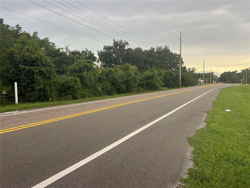 1 THONOTOSASSA, THONOTOSASSA, FL — photo 4 of 7
