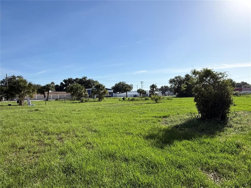 A large, grassy, vacant lot features scattered trees and shrubs under a clear blue sky — 1015 MAKOWSKI ROAD, WAUCHULA, FL