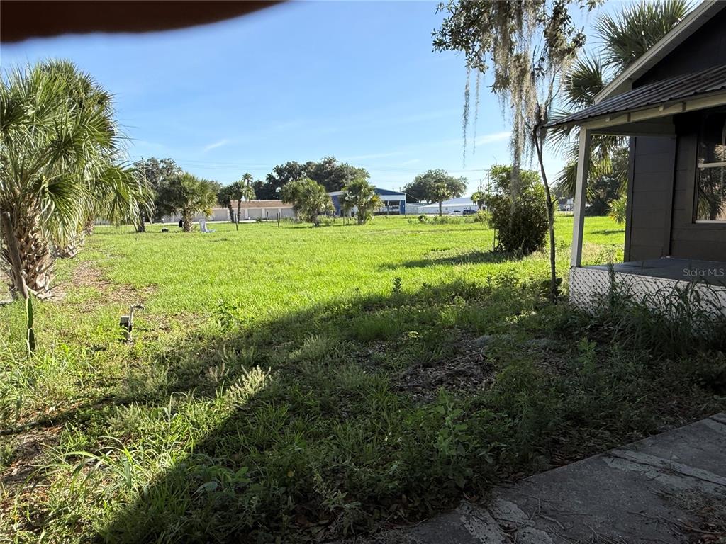 A view of a grassy backyard with palm trees and a partial house exterior — 1015 MAKOWSKI ROAD, WAUCHULA, FL