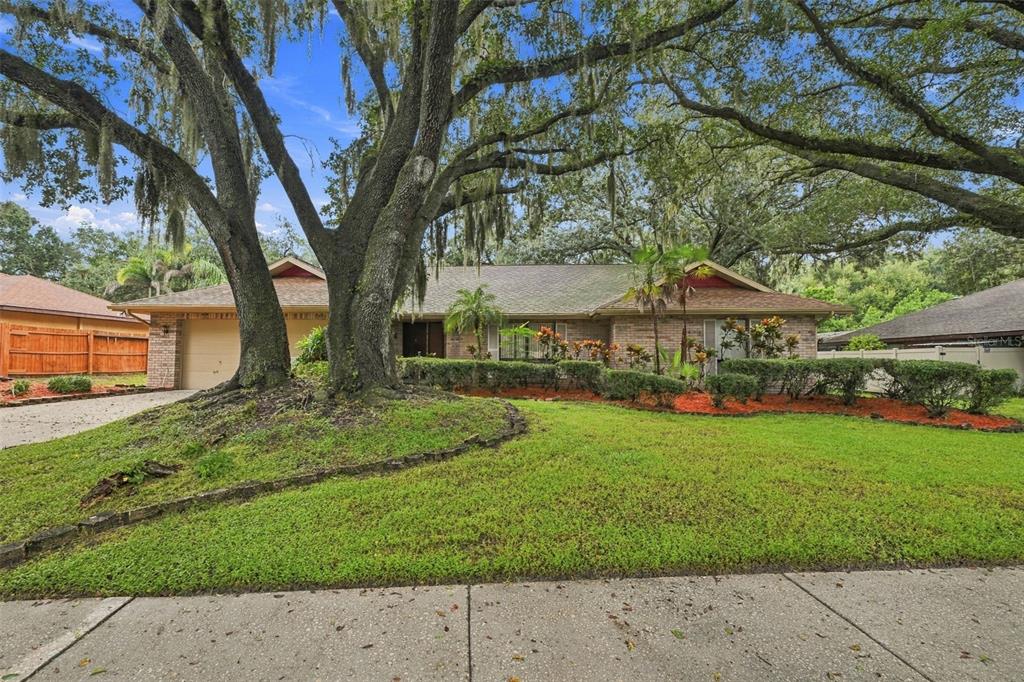 2609 MANOR OAK DRIVE, VALRICO, FL — photo 3 of 49