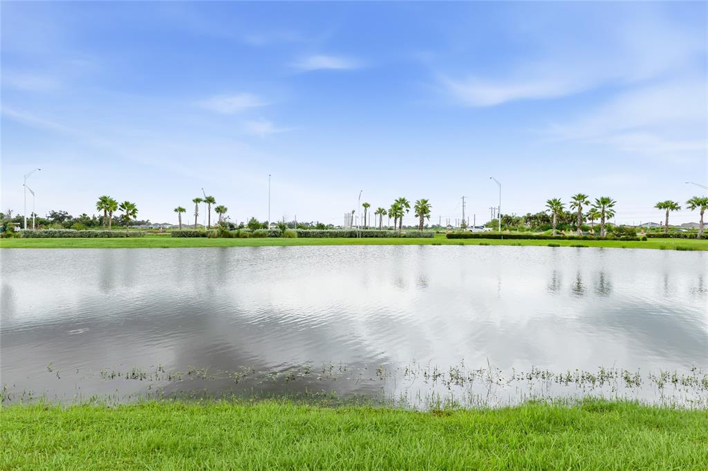 A wide, calm pond is surrounded by green grass and a row of palm trees — 9916 DAYBREAK GLEN, PARRISH, FL