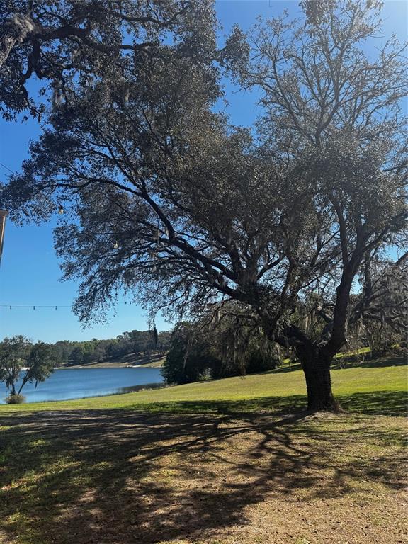 A large oak tree stands on a grassy lawn overlooking a lake under a blue sky — 10615 SE 142ND AVENUE ROAD, OCKLAWAHA, FL