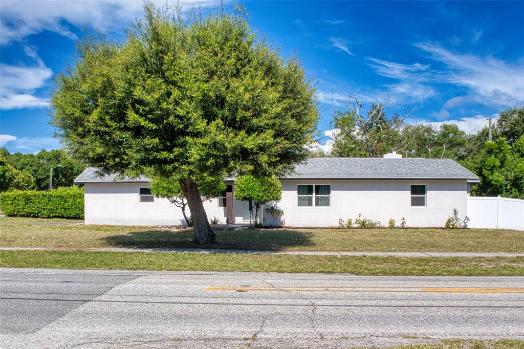 A single-story house with a large tree in the front yard sits beside a road — 1301 WOODBINE STREET, CLEARWATER, FL