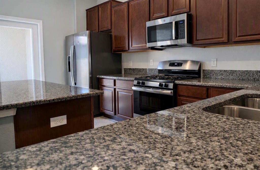 4603 BEXLEY VILLAGE DRIVE, LAND O LAKES, FL — photo 5 of 25