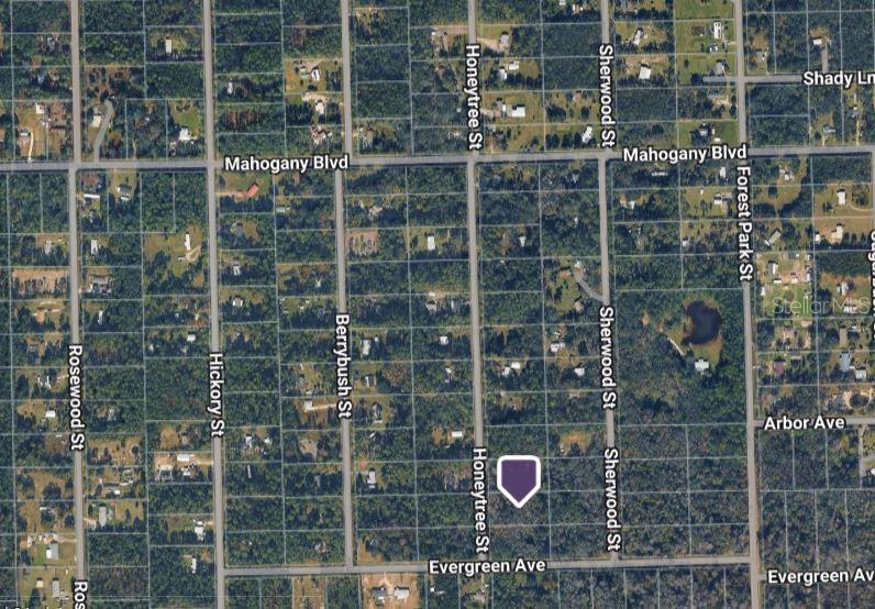 1823 HONEYTREE STREET, BUNNELL, FL — photo 2 of 2