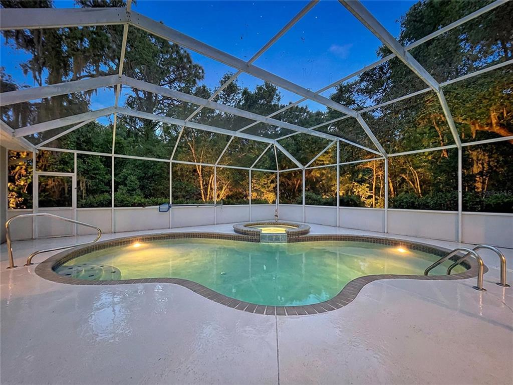 A screened-in swimming pool and spa are surrounded by a concrete deck and lush trees — 464 E LIBERTY STREET, HERNANDO, FL