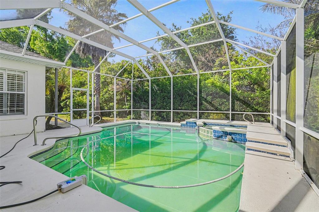 A screened-in swimming pool and attached spa sit on a concrete patio behind a house — 8 FOX CLIFF WAY, ORMOND BEACH, FL