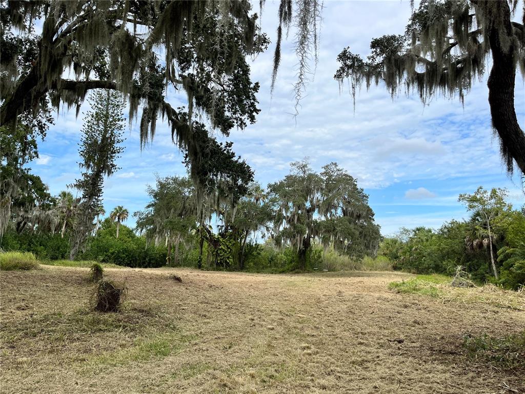 A cleared grassy lot features large oak trees draped in Spanish moss under a blue sky — 6715 16TH AVENUE E, PALMETTO, FL