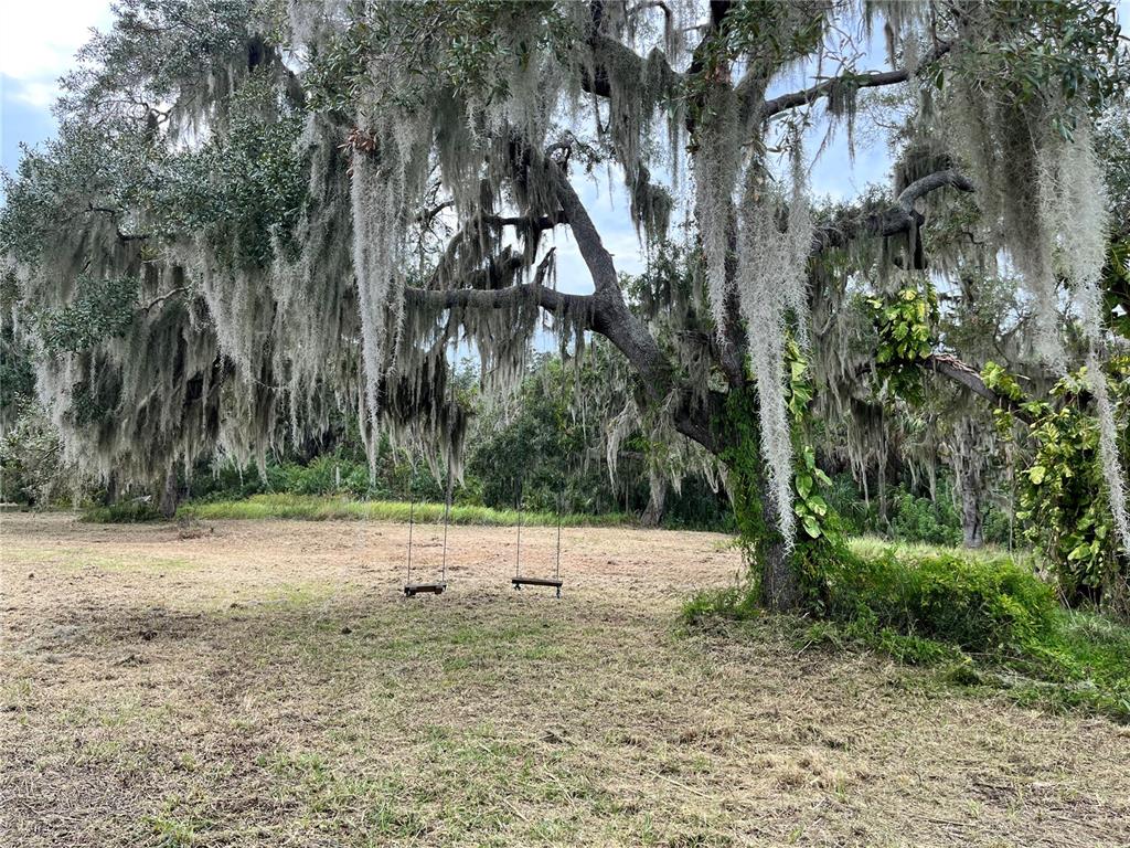 A large oak tree draped in Spanish moss features two swings hanging in a field — 6715 16TH AVENUE E, PALMETTO, FL