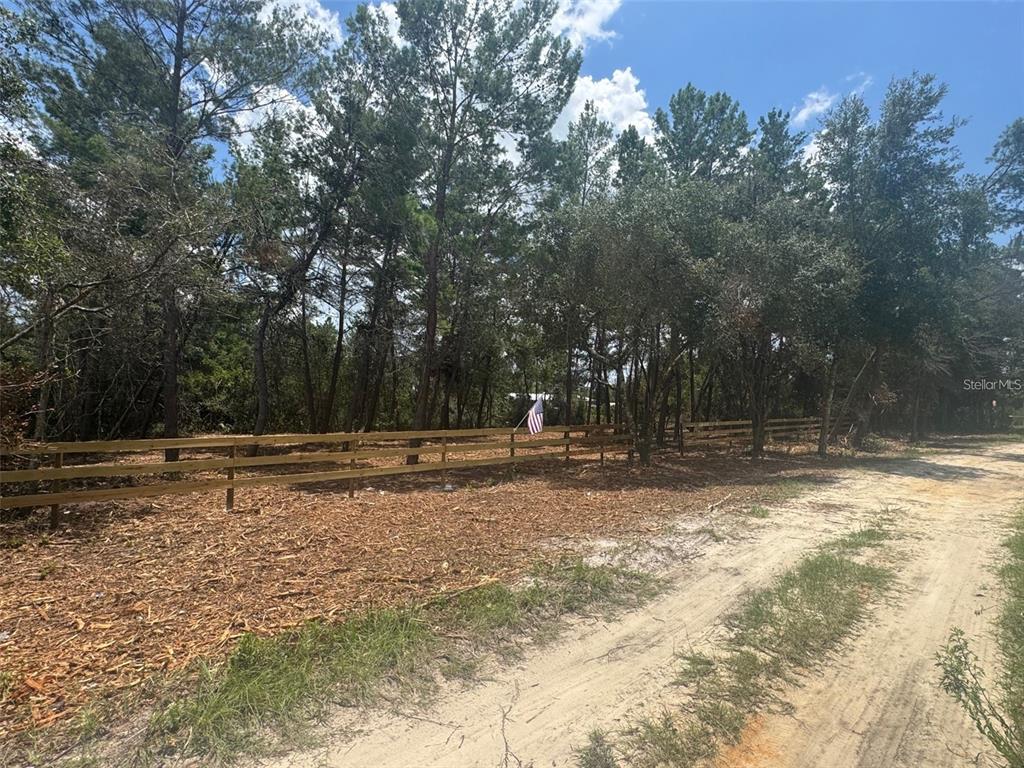 A wooden fence borders a wooded lot next to a sandy dirt road — E PINE STREET, PAISLEY, FL