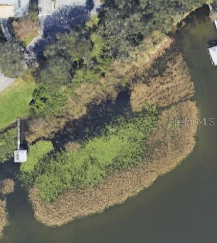 This aerial view shows a grassy shoreline with a small wooden dock extending into water — ARIANA BOULEVARD, AUBURNDALE, FL