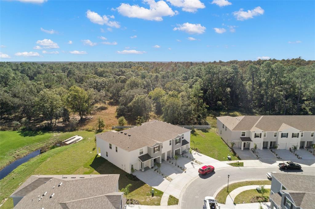 1393 COLT CREEK PLACE, WESLEY CHAPEL, FL — photo 3 of 24