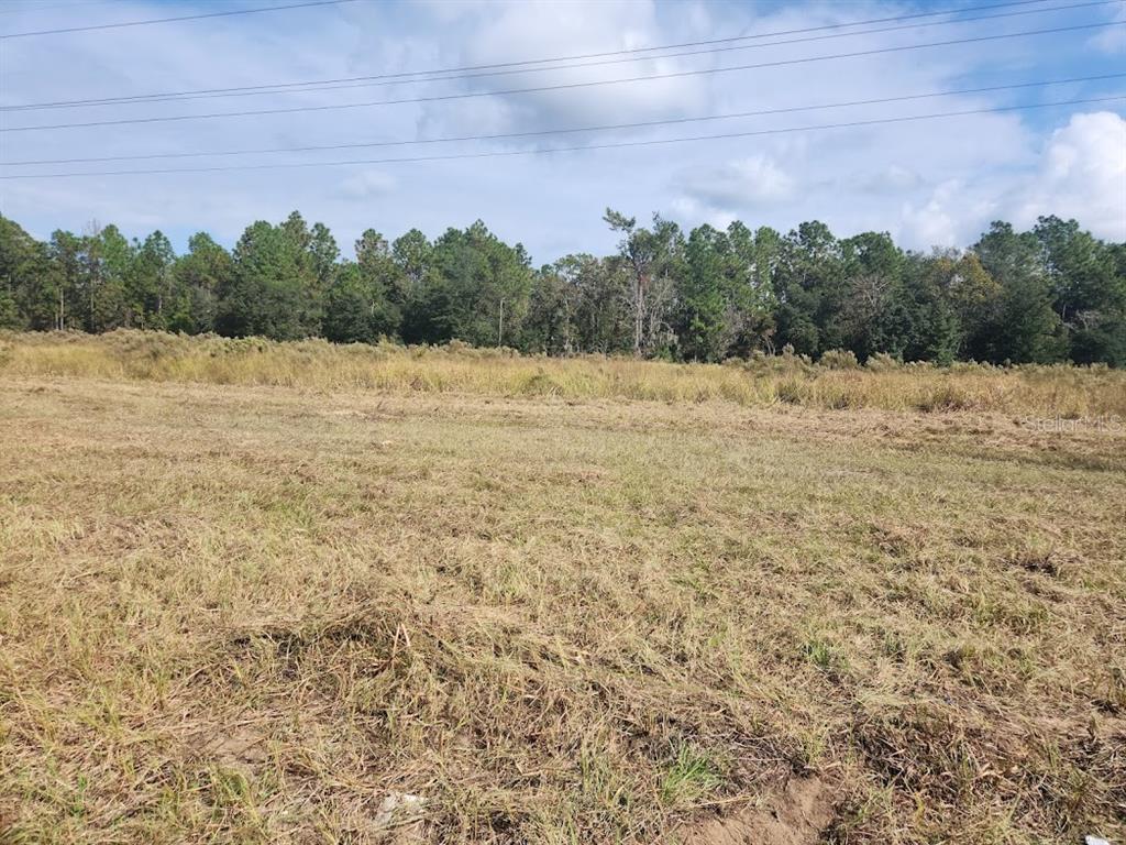 A large, cleared grassy lot sits in front of a dense line of trees — SE MARICAMP ROAD, OCALA, FL