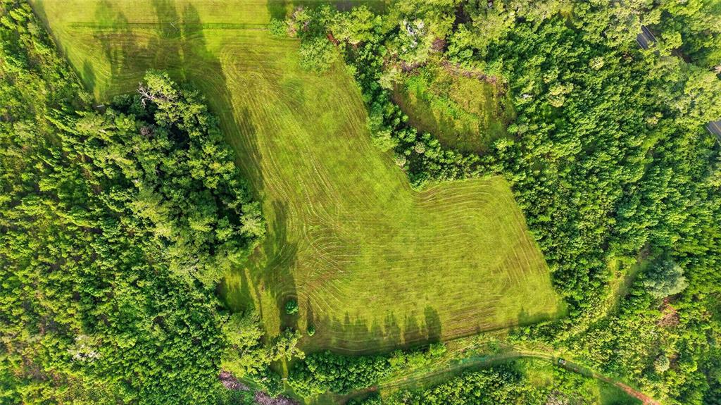 An aerial view shows a cleared grassy field surrounded by dense forest and trees — 15958 W HWY 318, WILLISTON, FL