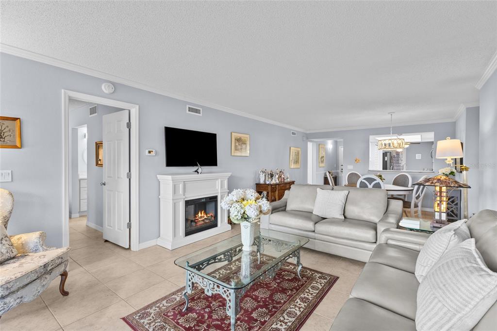 A living room features light blue walls, tile flooring, a fireplace, and two leather sofas — 6211 TIMBER LAKE DRIVE UNIT B1, SARASOTA, FL