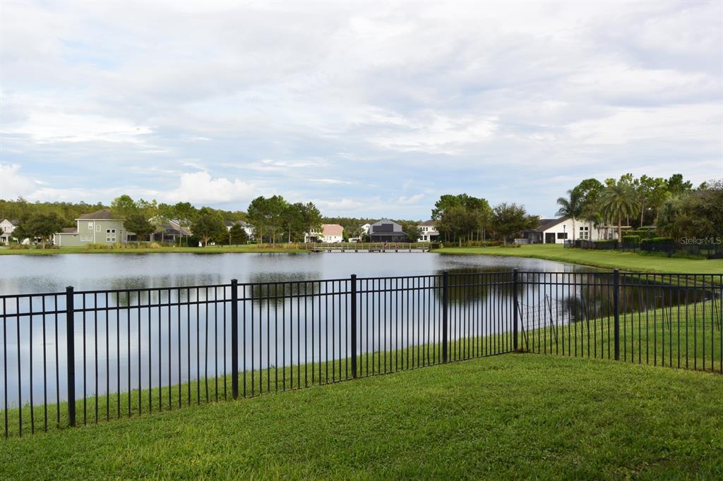 14735 CARAVAN AVENUE, ODESSA, FL — photo 3 of 30