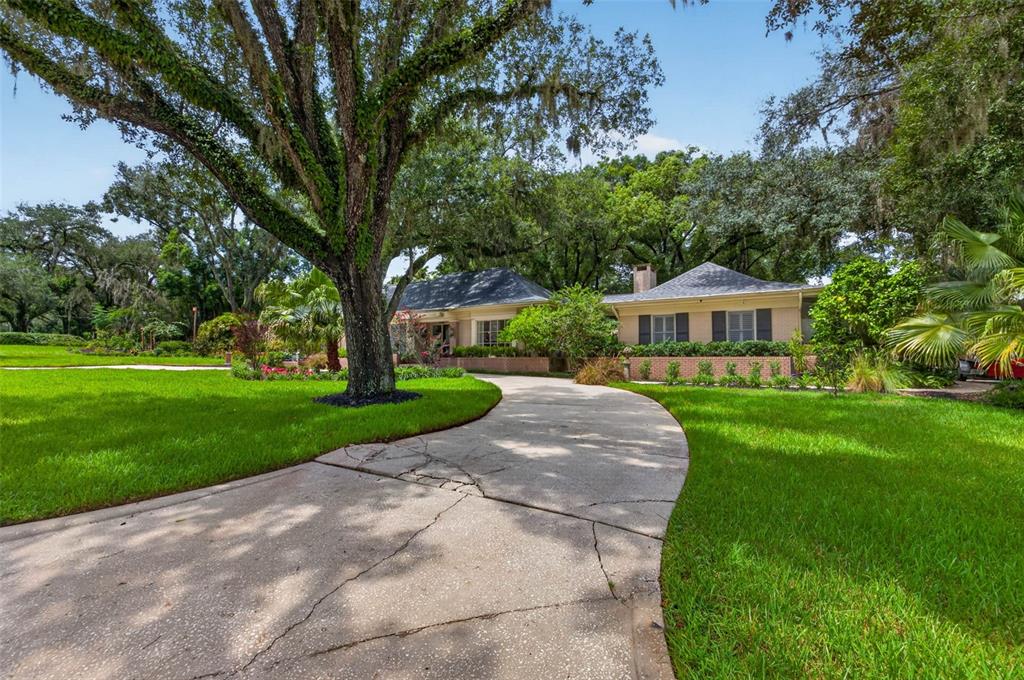 A curved concrete driveway leads to a single-story house surrounded by large, moss-covered oak trees — 602 S RIVERHILLS DRIVE, TEMPLE TERRACE, FL
