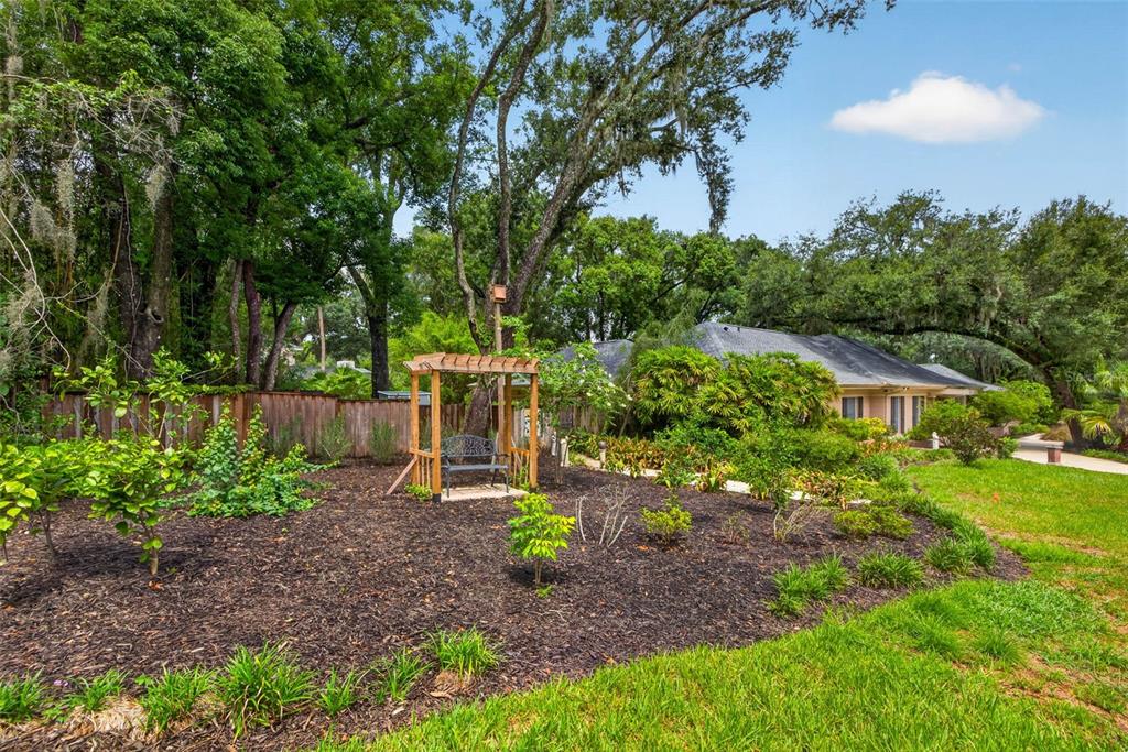 A wooden pergola with a bench sits in a mulched garden bed near a house — 602 S RIVERHILLS DRIVE, TEMPLE TERRACE, FL