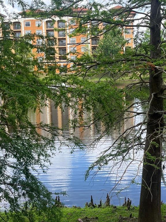12539 FLORIDAYS RESORT DRIVE UNIT 105D, ORLANDO, FL — photo 3 of 30